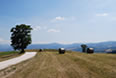 Agriturismo La Collina dei Ciliegi | Panorama