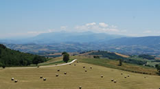 Agriturismo La Collina dei Ciliegi | Panorama